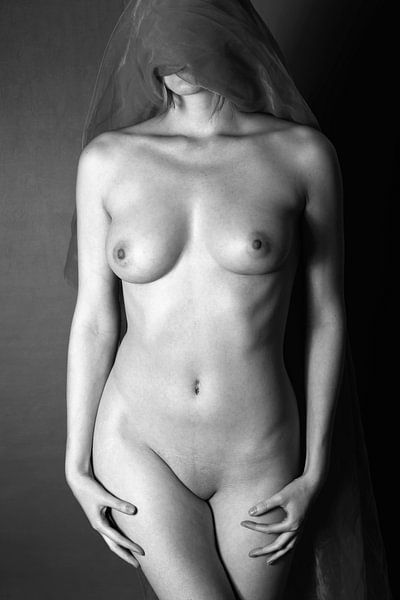 Nude par Falko Follert