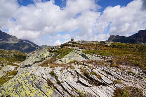 Ongerepte alpenwildernis in de Zwitserse Alpen met ruige bergtoppen en ruige natuur.