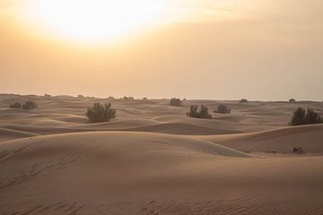 Dubai Desert III van Chantal Cornet