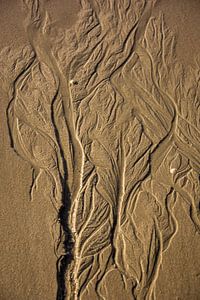 Zandsculptuur.  Sand sculpture van Helma de With