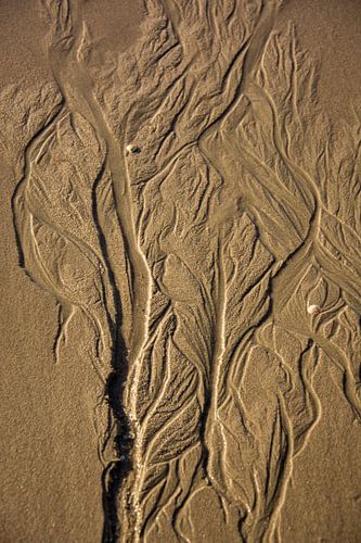 Zandsculptuur.  Sand sculpture