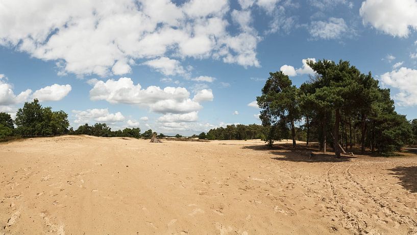 Loonse en Drunense Duinen van Paul Oosterlaak