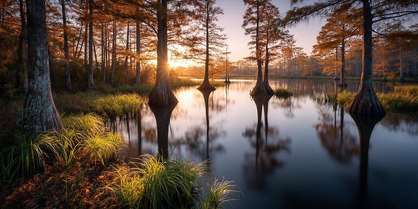Tussen dag en droom van fernlichtsicht
