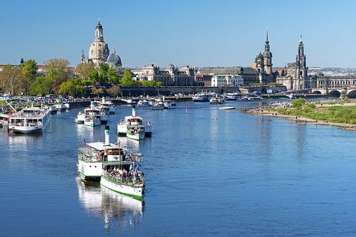 Steamboat parade in Dresden in front of the historic old town