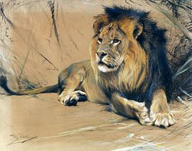 Lion, WILHELM KUHNERT, Ca. 1912-1916 by Atelier Liesjes