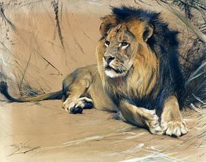 Löwe, WILHELM KUHNERT, ca. 1912-1916