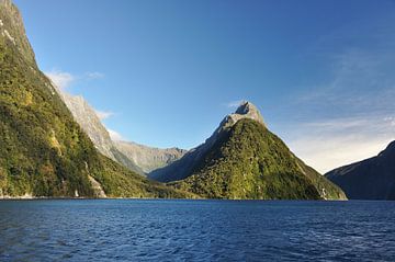 De wilde pracht van de Milford Sounds van Frank Photos