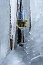 ice wine van Heinz Grates thumbnail