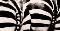 black and white