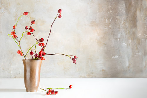 Hagebuttenzweige in einer Vase aus Steingut auf einem weißen Tisch vor einer Vintage-Wand, natürlich