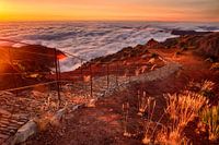 Zonsopgang boven de wolken, Pico Ruivo, Madeira
