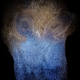 Uil van G-spot of nature