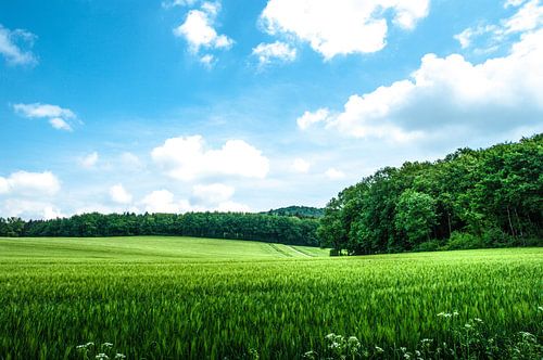 Weite, Landschaft, am Berg 1