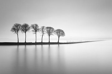 Sechs Wächter im Nebel von Karina Brouwer