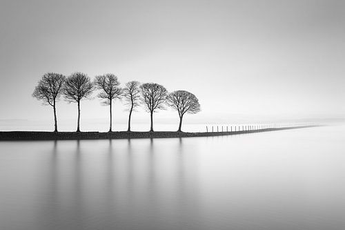 Six Guards in the Mist