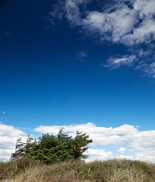 Coastal landscape by Bo Valentino