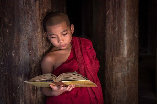 Junger Mönch liest in einem Lehrbuch