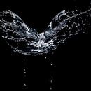 Wasser fliegt durch die Luft von Andreas Hackl Miniaturansicht