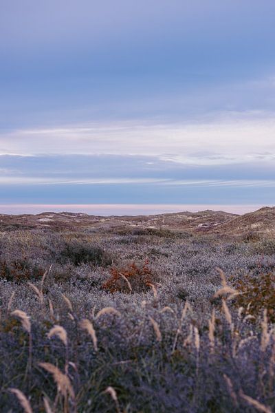 Coucher de soleil à Texel par HelloHappylife