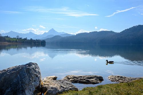 bergmeer weissensee in het ochtendlicht voor de bavariaanse alpen in de buurt van fuessen in de allg