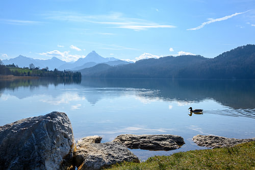 bergsee weissensee im morgenlicht vor den bayerischen alpen bei füssen im allgäu, süddeutschland, ko