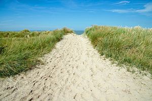 Sand dune Zoutelande by Jessica Berendsen