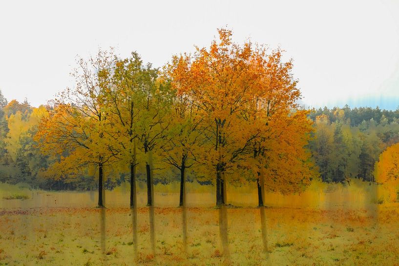 Kwintelooijen part 38 van Tania Perneel