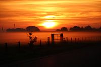 Rising sun in fog