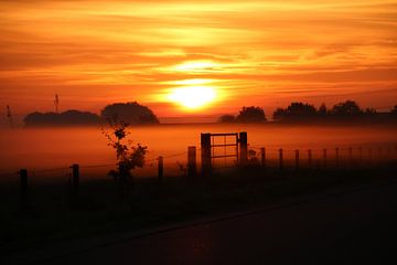 Opkomende zon in mist van Devlin Jacobs