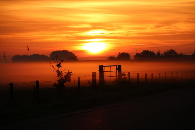 Rising sun in fog by Devlin Jacobs