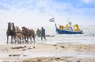 paardenreddingsboot Ameland par Marjan Noteboom Aperçu