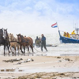 paardenreddingsboot Ameland by Marjan Noteboom