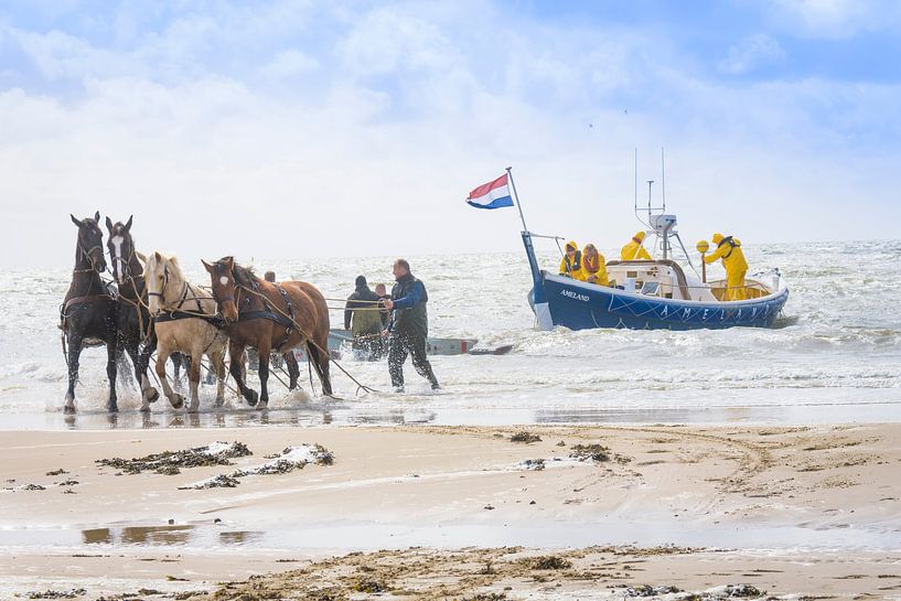 paardenreddingsboot Ameland par Marjan Noteboom