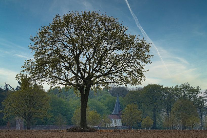 Mijn favoriete boom ! van Rudi Everaert