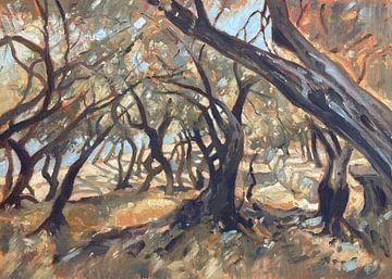 Olive grove along the beach