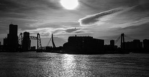 Rotterdam Skyline (zwart wit)