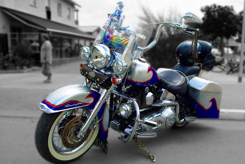 American Beauty von Doms Photos