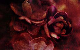 Red blossom by Anouschka Hendriks