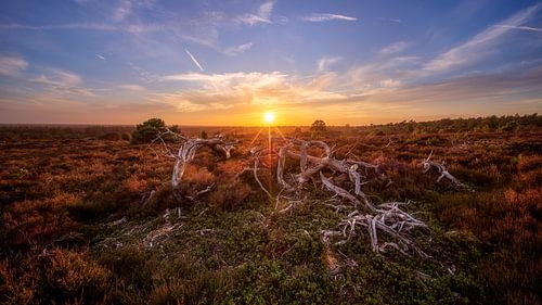 Nationaal Park Sallandse Heuvelrug