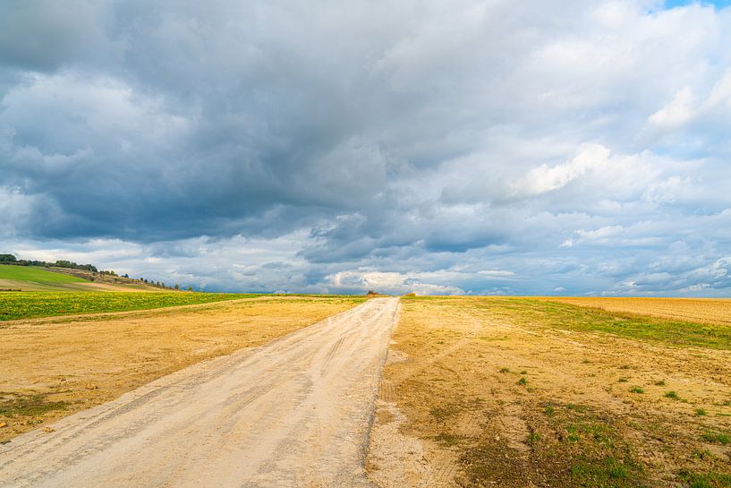 Abandoned dirt road in the Champagne region of France with in the background wine plantations by Ivo de Rooij
