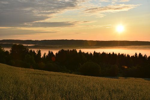 Een zonsopgang op een zomerochtend