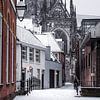 St. Johannes-Kathedrale, In den Boerenmouw - Winter in Den Bosch von Angelique van Esch