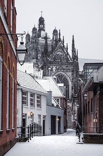 Sint-Janskathedraal, In den Boerenmouw - winter in Den Bosch