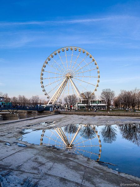 Montreal by Hello Pompoyo