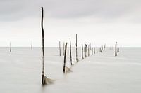 Poles above water