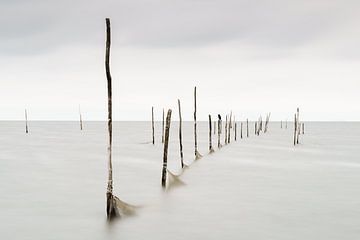 Poles above water by Paul van der Zwan