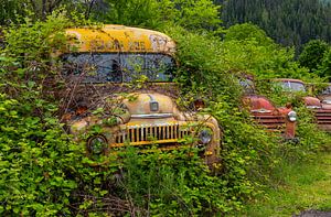 Autobus scolaire rouillé et camionnettes quelque part dans l'Idaho, États-Unis