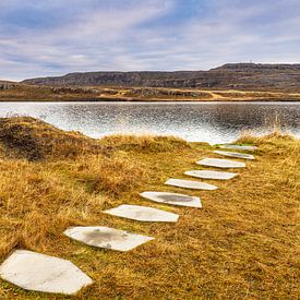 Uitzicht over een meer naar het landschap in het oosten van IJsland van Rico Ködder