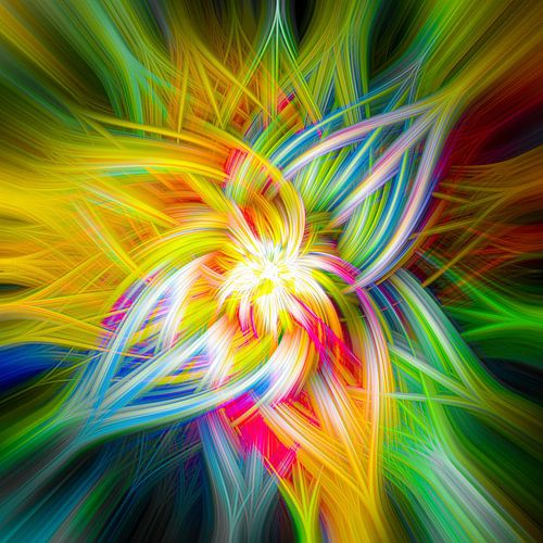 The fascinating world of Circumactus