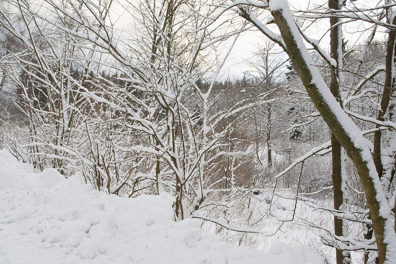 sneeuw von Diana Edwards